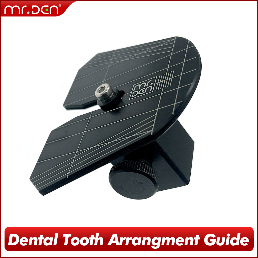 2026 MR DEN دليل ترتيب الأسنان - مراجعة 3D Printing Tooth وسعره